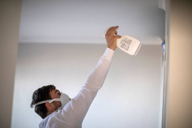 Best Mold Cleaning Services  in Arcanum, OH
