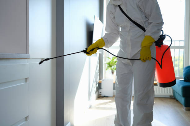 Office Mold Removal Services in Arcanum, OH